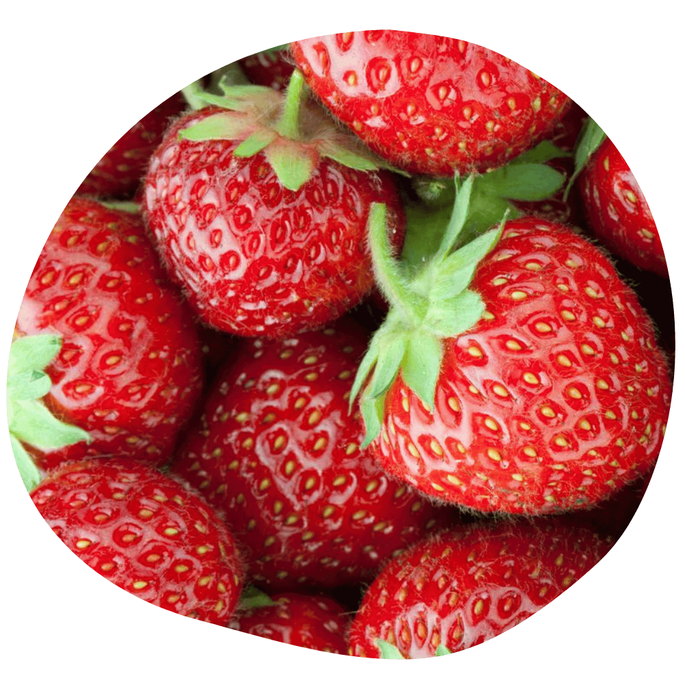 Fraises Quasimodo