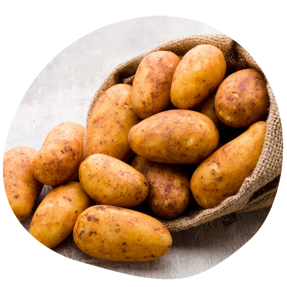 Pommes de terres nouvelles Quasimodo délicieuses BIO